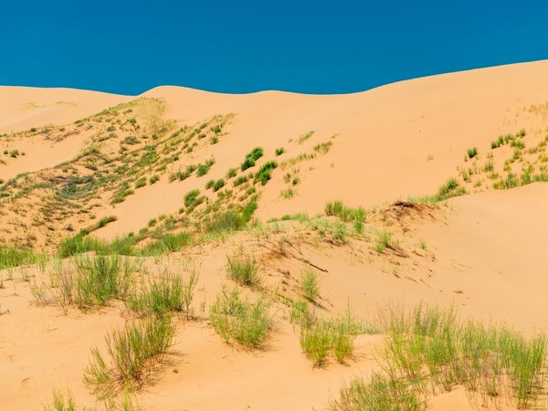 2 в 1: Сулакский каньон и бархан Сарыкум из Дербента - фото 4