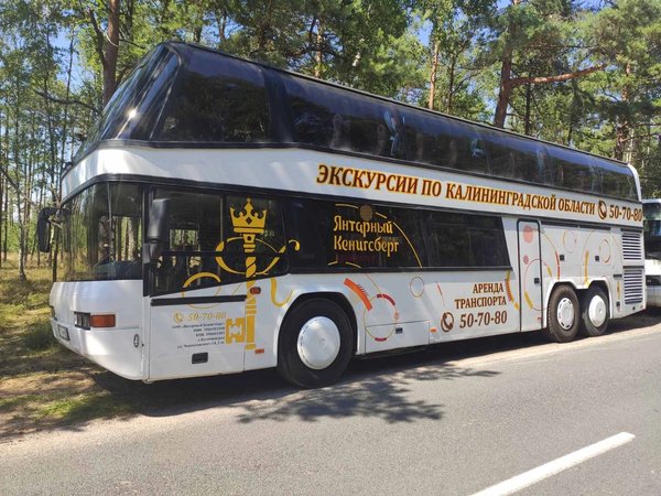 На двухэтажном автобусе — по Калининграду (с дегустацией марципана) - фото 2