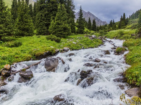 Из Бишкека — в Аламединское ущелье! - фото 3