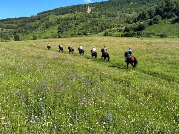 Конная прогулка недалеко от Кисловодска в мини-группе - фото 3