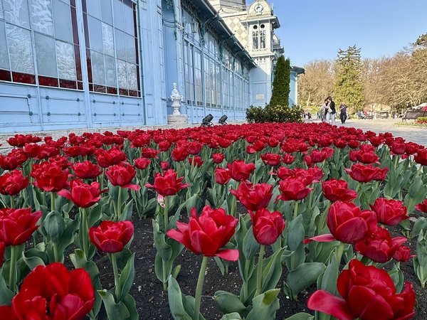 Затерянный Железноводск: из настоящего в прошлое - фото 1