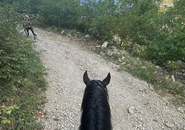 Конная прогулка недалеко от Кисловодска  - фото 2