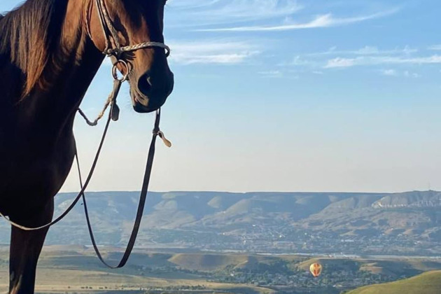 Фото - экскурсия: Конная прогулка в окрестностях Кисловодска