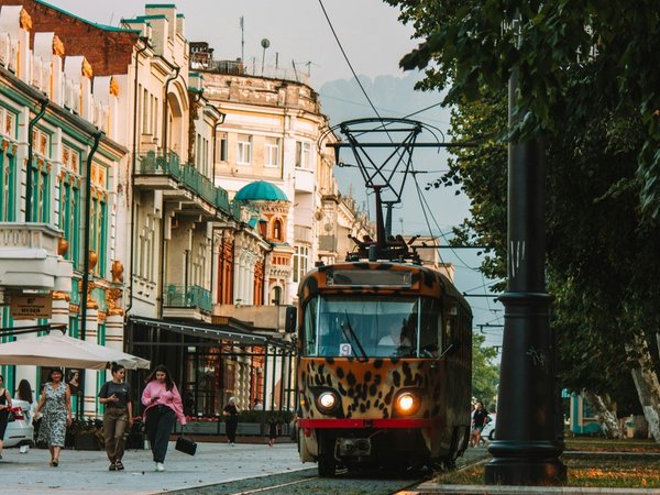Исторический центр Владикавказа: групповая обзорная экскурсия - фото 1