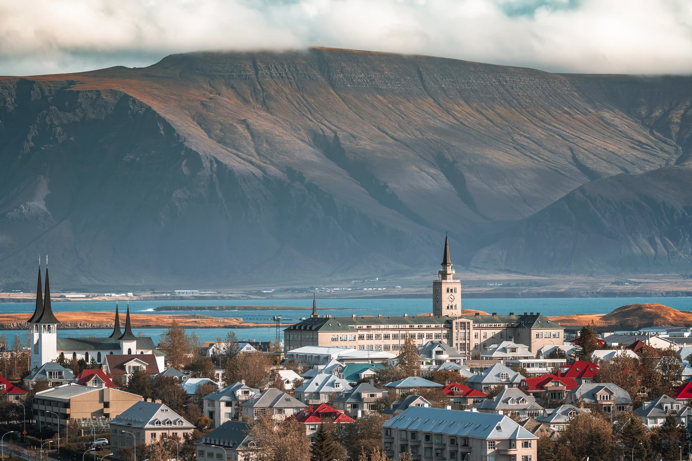 Автопешеходная экскурсия по Рейкьявику с поездкой к резиденции президента