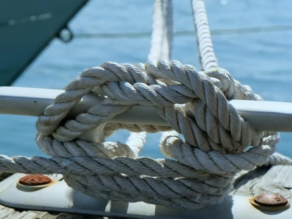 Адлер: морская рыбалка, обед из улова и купание в Чёрном море - фото 3