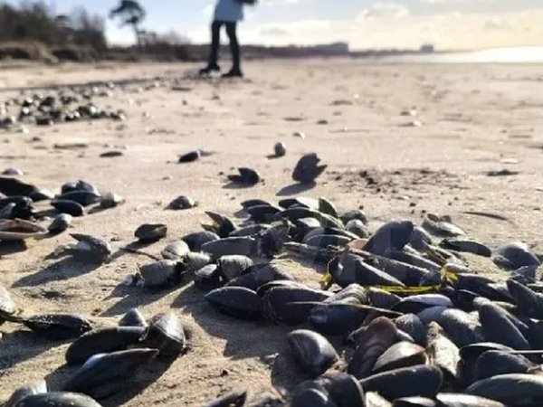 Из Архангельска — в Северодвинск (Центр атомного судостроения + остров Ягры + Заостровье) - фото 4