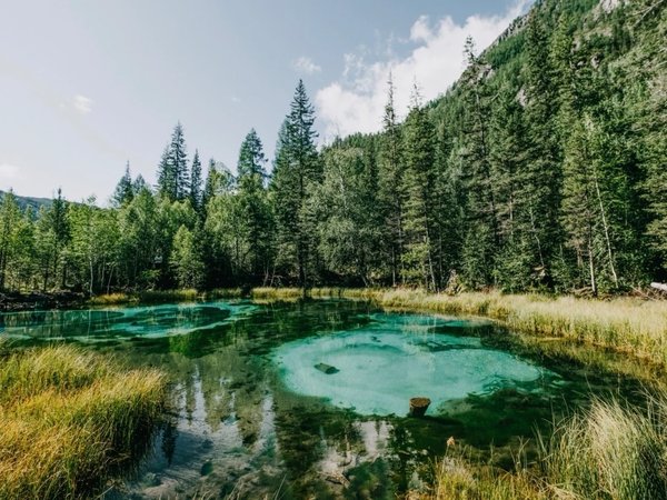 Чуйский тракт за 1 день: экскурсия-конструктор - фото 4