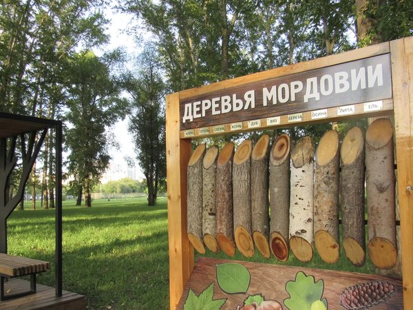Саранск: в поисках утраченного времени - фото 3