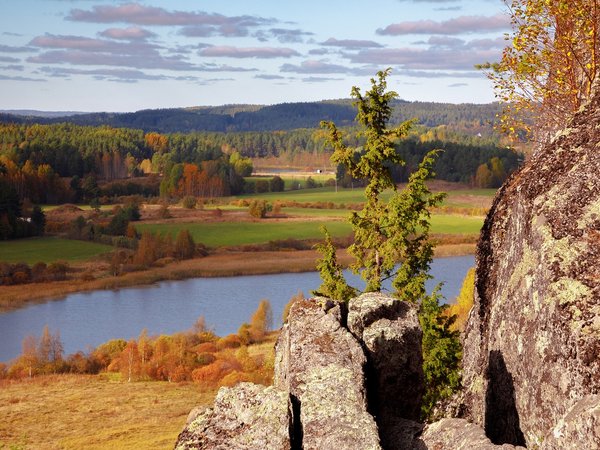 Остров Риеккалансаари — от тайги до лесотундры
