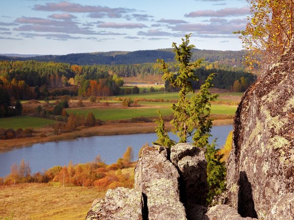 Остров Риеккалансаари — от тайги до лесотундры - фото 1