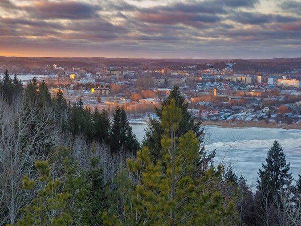 Остров Риеккалансаари — от тайги до лесотундры - фото 2
