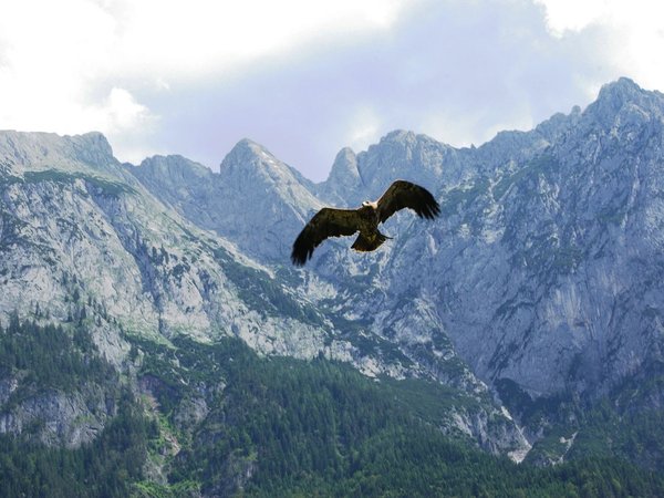 Плато Бермамыт — открыть российский Гранд-Каньон - фото 3