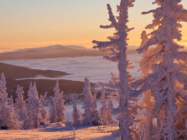 Из Мурманска в Кандалакшу — на Белое море! - фото 3