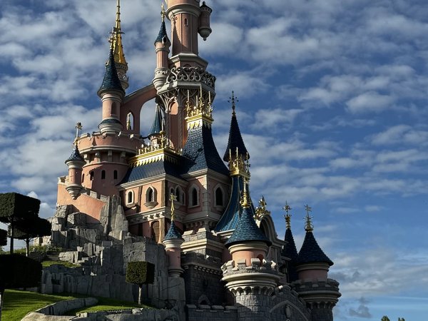 Быстрый путь к волшебству: VIP-экскурсия по Диснейленду без очередей - фото 2