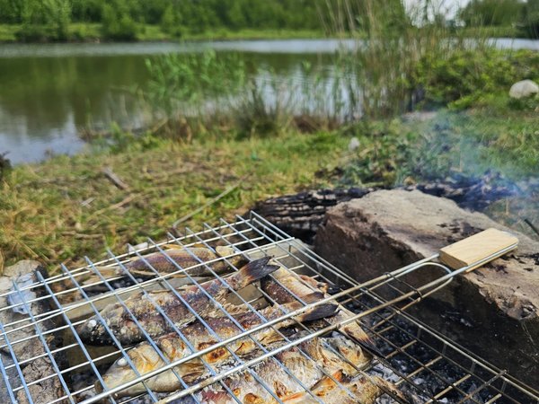 Клёвая рыбалка на озере Палиастоми — из Кобулети - фото 4