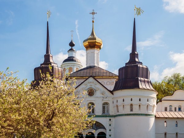 Из Ярославля — в старинный Толгский монастырь - фото 1
