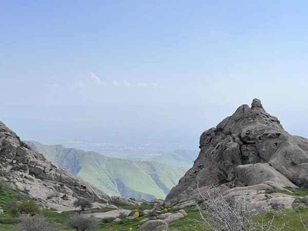 Дорога сквозь историю: однодневная поездка из Самарканда в Бухару - фото 1