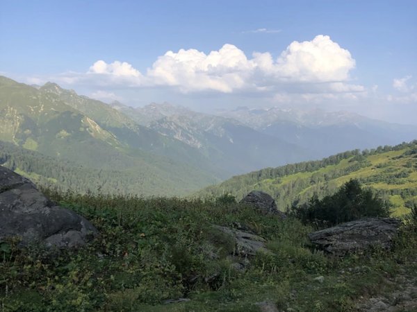 Дорога сквозь историю: однодневная поездка из Самарканда в Бухару - фото 2