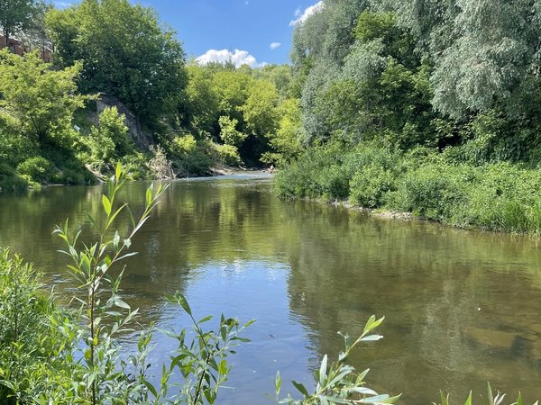 Таруса с воды: прогулка на сапах на Оке - фото 2