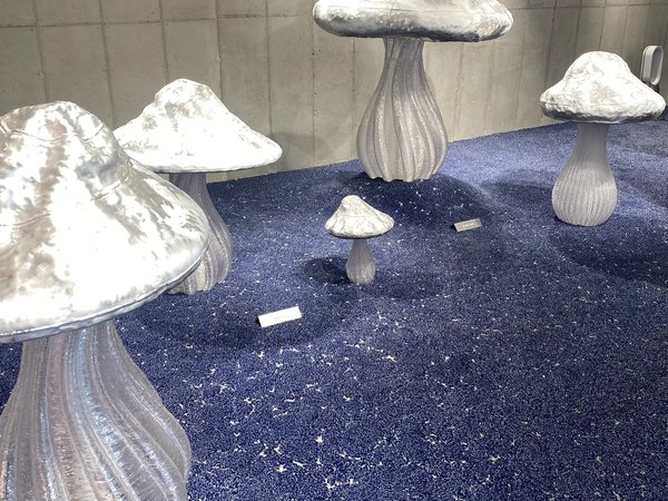 Шопинг в Сеуле: тренды и магазины как арт-пространства - фото 4