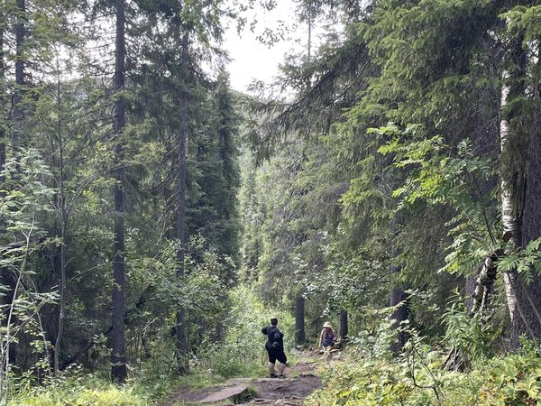 Кандалакша и Белое море с горы Волосяной — путешествие из Мурманска - фото 3