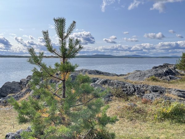 Кандалакша и Белое море с горы Волосяной — путешествие из Мурманска - фото 2