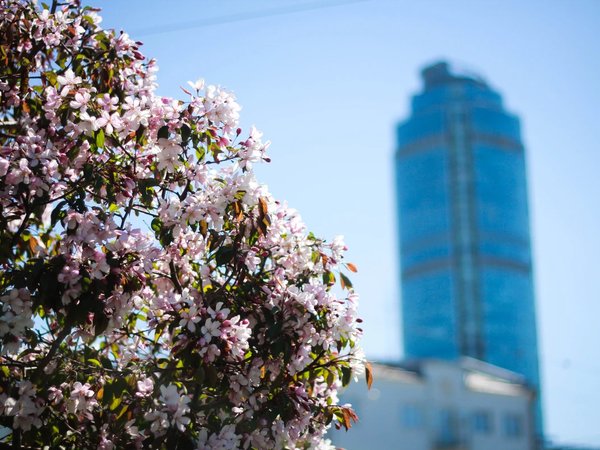 Обзорная экскурсия по Екатеринбургу - фото 1