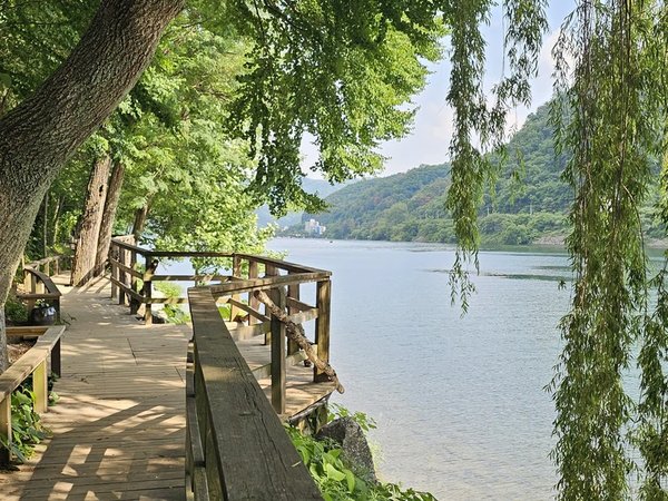 Живописный Капхён: остров Намисом и Сад утреннего спокойствия - фото 4