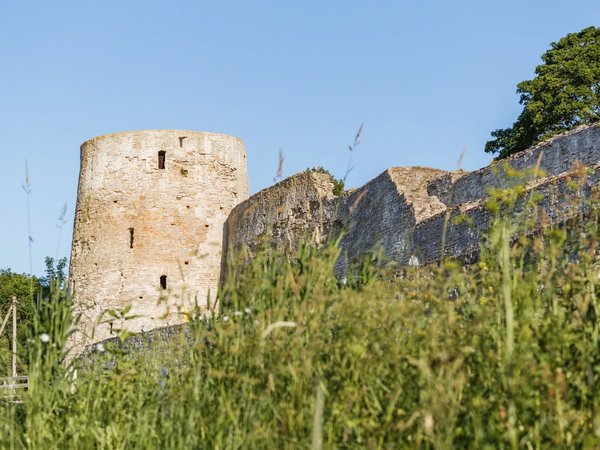 Автобусная экскурсия из Пскова в Изборск и Печоры - фото 4