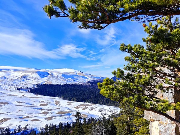 Лаго-Наки: жемчужина Кавказских гор Адыгеи - фото 1