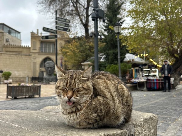 Баку: прошлое, настоящее, будущее - фото 2