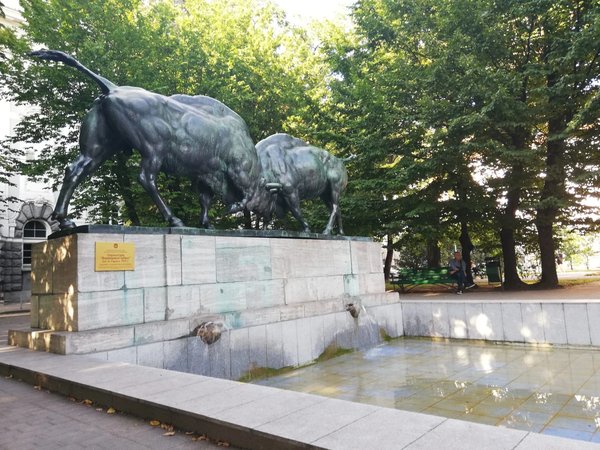 Из Зеленоградска — в Калининград (+ трансфер туда и обратно) - фото 3