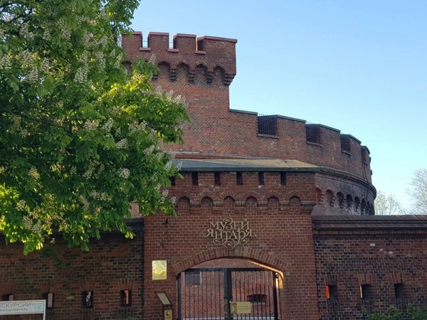 Из Зеленоградска — в Калининград (+ трансфер туда и обратно) - фото 4