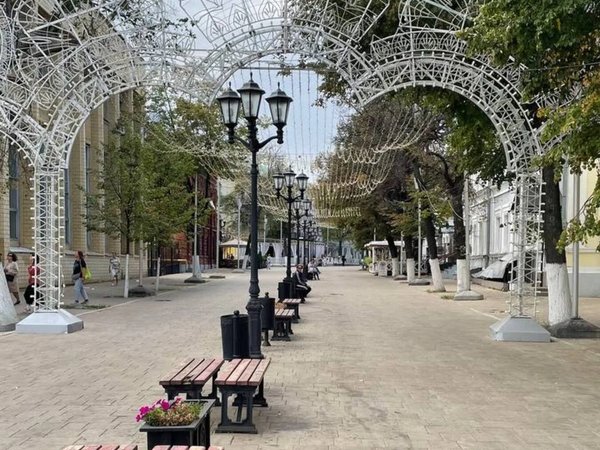 Рязань косопузая: прогулка по историческому центру - фото 4