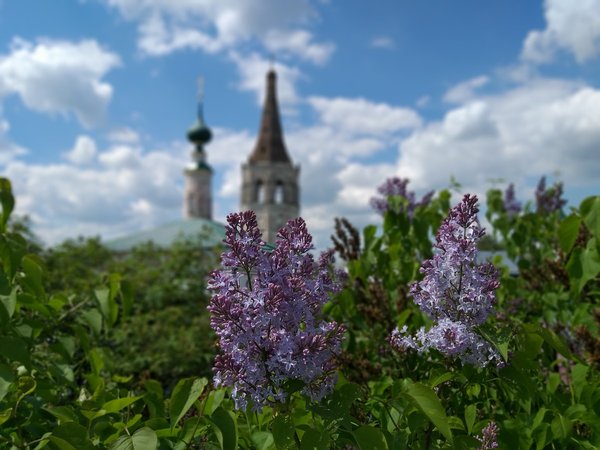 Суздаль. Ха-ха-ха - фото 2