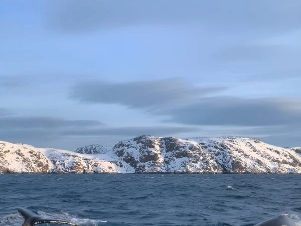 Природа Заполярья и морская прогулка — это Териберка!