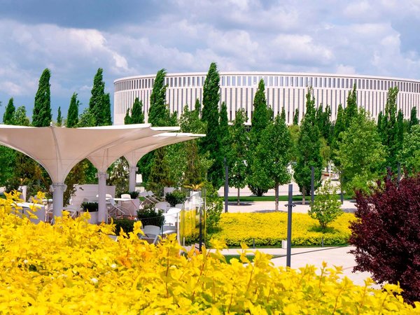 Парк Галицкого в Краснодаре: место, созданное для вдохновения - фото 4