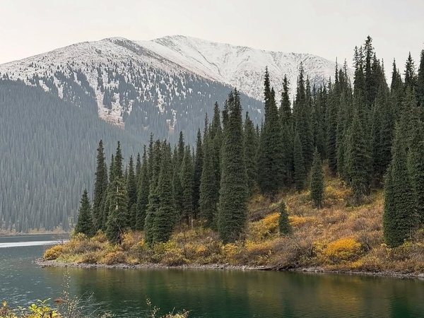 Чарынский каньон и озеро Кольсай с комфортом — из Алматы - фото 1