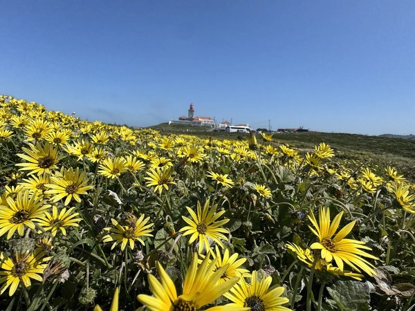 Край земли — на электрокаре из Лиссабона к Мысу Рока - фото 2