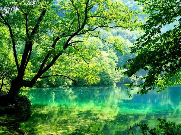 Незабываемая Верхняя Балкария: из Кисловодска в сердце Кавказа - фото 4