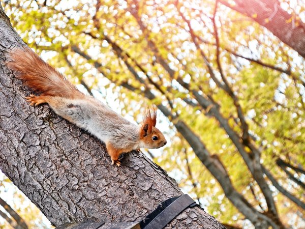 Гуляем по Кисловодску всей семьей - фото 4