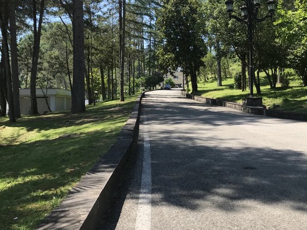 Из Гагры — в Пицундо-Мюссерский заповедник - фото 3