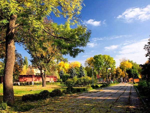 Липецкие этюды - фото 2