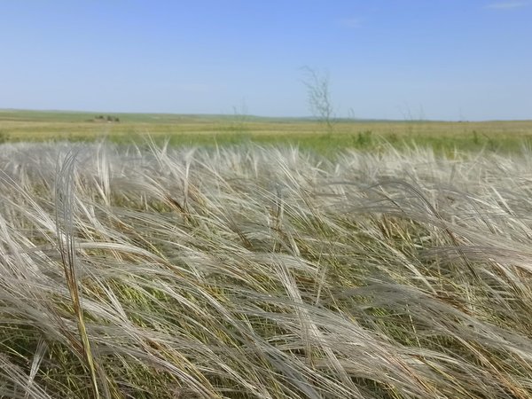 Степное море Оренбуржья: авторский тур на внедорожнике - фото 2
