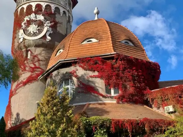 По приморским городам — из Зеленоградска - фото 3