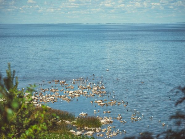 Автобусная экскурсия на Талабские острова - фото 3