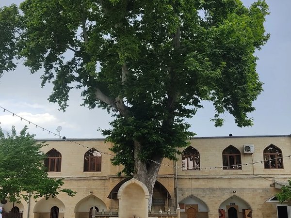 По историческим улочкам Дербента — на гольфкаре - фото 4