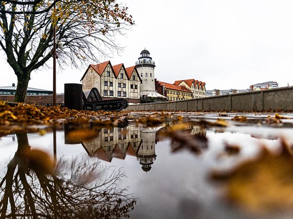 Старый Кёнигсберг: первое знакомство с Калининградом - фото 4