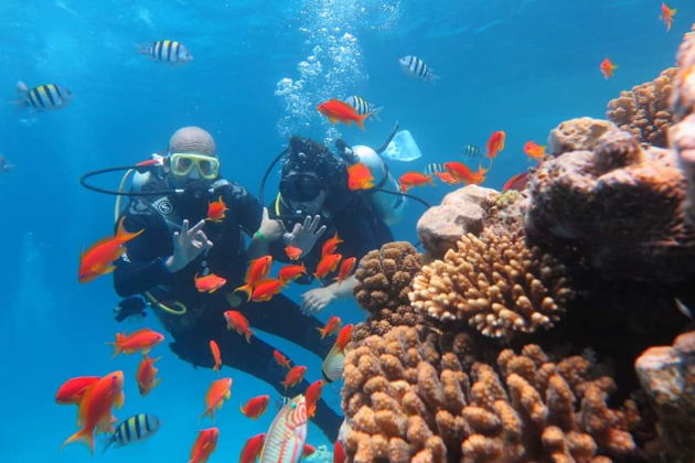 Фото экскурсии - Увлекательный круиз на Оранжевый остров с погружением под воду - 12